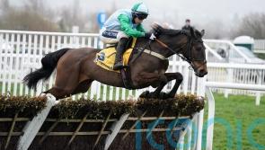 Snowden confirms Mares’ Hurdle date for You Wear It Well