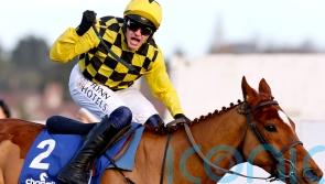 State Man set to face ‘improving’ Impaire Et Passe