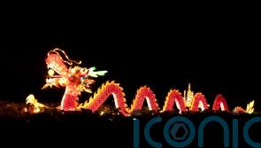 Chinese New Year: What does the year of the dragon mean for you?