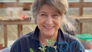 Caroline Quentin: Being an actor and a gardener is not a happy combination