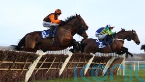 National hero Noble Yeats has Stayers’ Hurdle in his sights