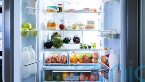 How to make the most out of your leftovers