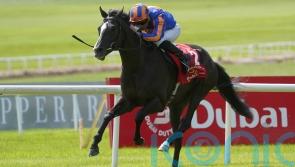 All systems go for Auguste Rodin and Dubai after Dundalk workout