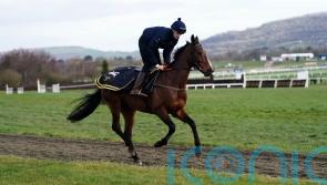 Shark prepping Hewick for National attack &ndash; but first is the Gold Cup