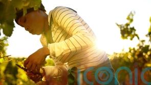 6 top drops by female winemakers to toast International Women’s Day
