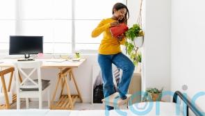 As demand for houseplants soars: What are the best and hardiest plants for your home?