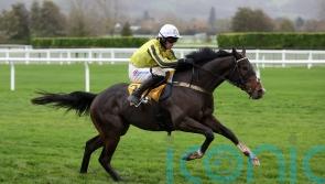 Setback scuppers Burdett Road’s Triumph Hurdle challenge