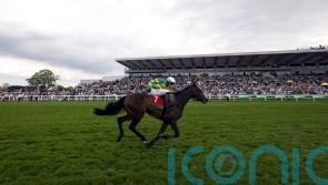O’Neill team backing Crebilly to be a Plate smasher