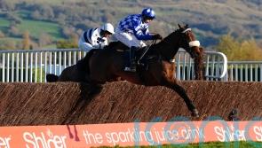 Bailey thrilled with ‘extraordinary’ Grimthorpe performance of Does He Know