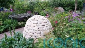 How are charity gardens at RHS Chelsea Flower Show funded? The sponsor helping good causes bloom