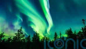 Now could be your best time to see the northern lights – here’s why