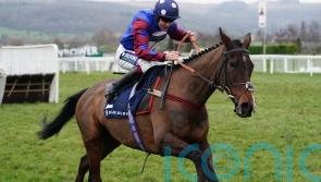 Stayers’ Hurdle glory could see Paisley Park bow out at the top