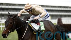 Cheltenham experience could be vital for Broadway Boy’s Brown Advisory bid