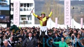 Harrington ‘well aware’ of overwhelming number of Irish-trained Festival favourites