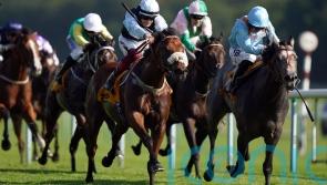 Hannon issues Wolverhampton warning for Shouldvebeenaring