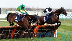 Stayers’ Hurdle draws high-class field of 13
