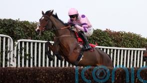 Nicholls expecting cheekpieces to ‘sharpen’ up Stay Away Fay