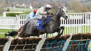 Lossiemouth proves far too good in Mares’ Hurdle