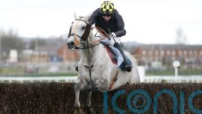O’Brien team hit hard by death of Highland Hunter