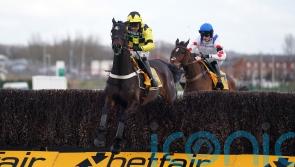 Shishkin ruled out of Gold Cup after poor scope