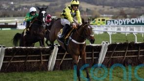 Triumph Hurdle favourite Sir Gino ruled out by Henderson