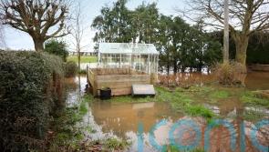 Flooded gardens: What can you do to future-proof them?