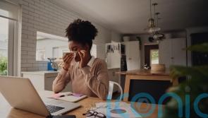 How to pollen-proof your home with allergy season in full swing