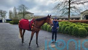 O’Brien staying relaxed ahead of huge year for City Of Troy