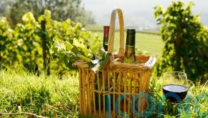 6 wines to taste the Languedoc-Roussillon