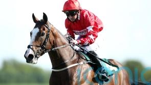 Fergie eyeing lucrative treble with Spirit Dancer
