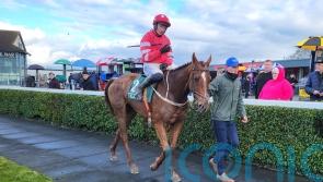 Blood Destiny and Spillane’s Tower set for trilogy decider