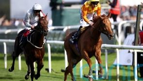 Course regular Sleeping Lion could hand Charlton notable win