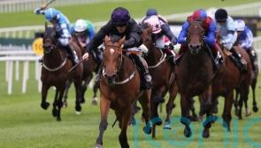Twomey charting Classic course with top fillies