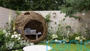 5 expert design tips for urban gardeners