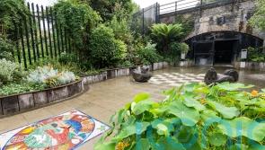 Tayshan Hayden-Smith on how inner city community gardening can help mental health