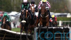 Gilligan so proud of another fine effort from Buddy One