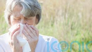Do I have a cold or hay fever? An expert explains how to tell the difference