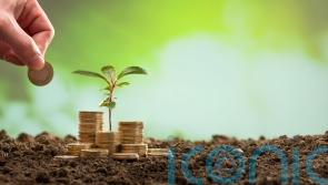 Simple money-saving and sustainable hacks for gardeners