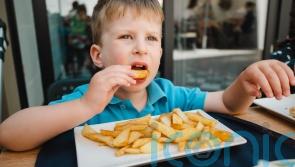 My child has a nut allergy – now what?