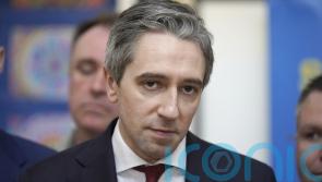 Taoiseach criticises protests outside politicians’ homes as ‘thuggery’