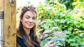 Moving house? How to tackle a new garden
