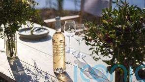 Outstanding organic wines to put a spring in your step