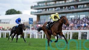 National hero Murphy relishing Rosallion’s bid for 2000 Guineas glory