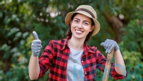 The costly insurance pitfalls to avoid when kitting out your garden this summer