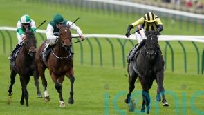 Vandeek on course for Haydock return