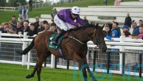 Naas return in the pipeline for Bucanero Fuertre