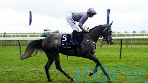 Angel set for second chance at Classic glory in Ireland or France