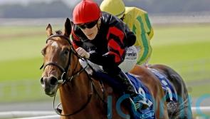 McCreery targeting ‘happy and fruitful summer’ for Vespertilio