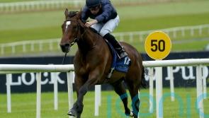 Ylang Ylang to spearhead O’Brien’s Oaks challenge
