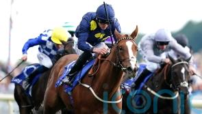 Swingalong back at York to lead Burke attack on sprint prize
